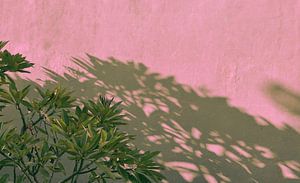 Bali Schatten an der Wand 1