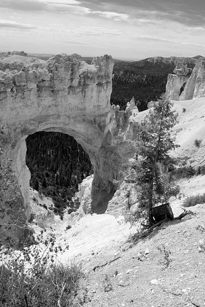 Bryce Canyon Natural Bridge by Christiane Schulze