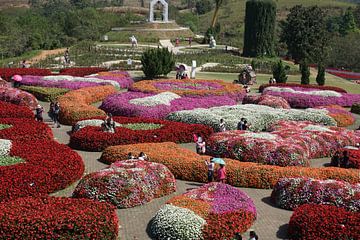 bloemen en planten show tuin van Bart Cornelis de Groot