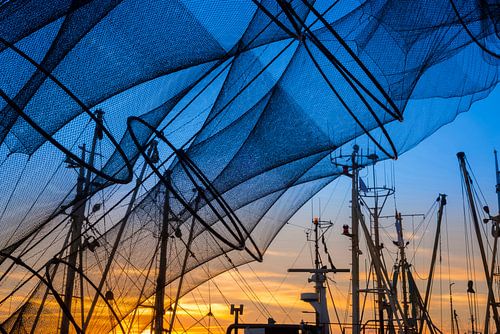 Fischernetze in Zoutkamp