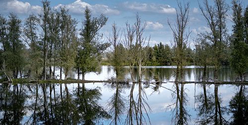 Buitenpolder Munnikenland in Poederoijen