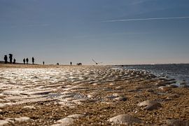 details in the sand by Sanne Portauwe Photography