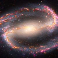 Multi-golflengte beeld van NGC 1300
