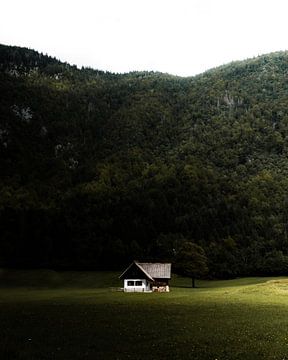 Huisje midden in de Alpen van Slovenië, Europa van Marion Stoffels