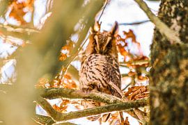 Blick vom Haus von Erik Van der Zwan