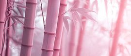 Rosa Bambusstämme im Nebel von Poster Art Shop