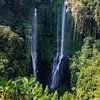 Sekumpul Wasserfall, grüne schlucht in Buleleng, Bali, Indonesien von Fotos by Jan Wehnert