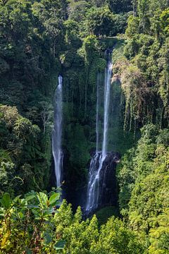 Chute d'eau Sekumpul, gorge verte à Buleleng, Bali, Indonésie sur Fotos by Jan Wehnert