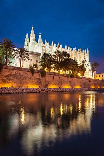 De kathedraal La Seu in Palma de Mallorca bij avond, Mallorca