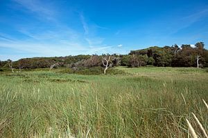 Ostsee: Darß - Weststrand