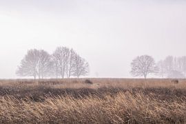 Minimalistische Landschaft im Nebel