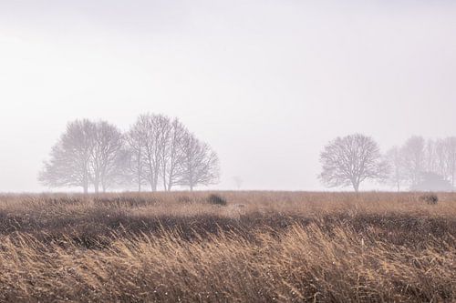 Minimalistische Landschaft im Nebel von PhotographIris
