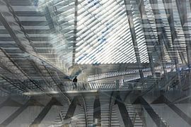 Sur le chemin du bonheur (couleur) sur Kok and Kok