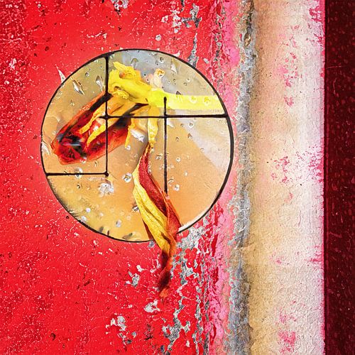 Rood, tulp, Japanse doorkijk