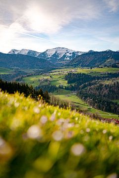 Lente-uitzicht op de Hochgrat en Steibis bij Oberstaufen van Leo Schindzielorz