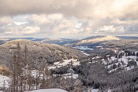 Blick über den Schwarzwald bei Titisee