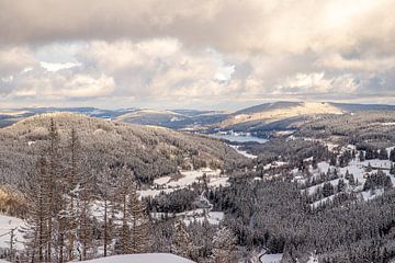 View over the Black Forest near Titisee by Alexander Wolff