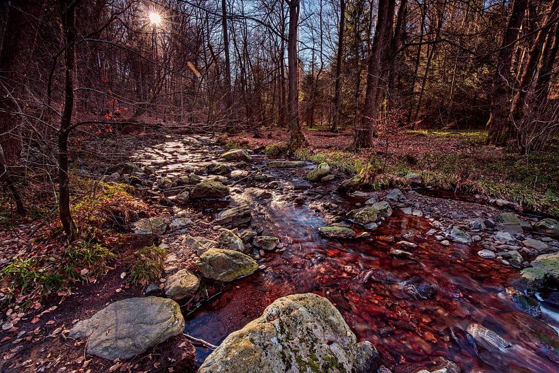 Bergrivier La Hoëgne van Rob Boon