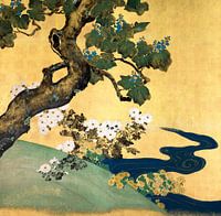 Japan Sommer