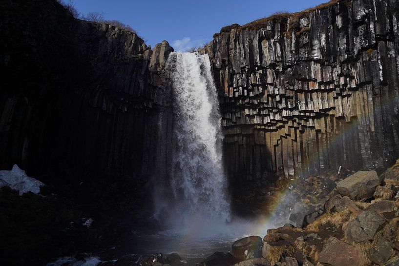 Svartifoss, Iceland by Joost Jongeneel