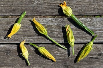 Courgette flowers on wooden boards by Ulrike Leone