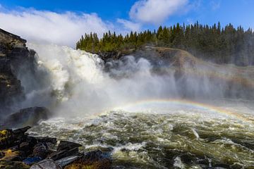 Bruisende waterval van Daniela Beyer