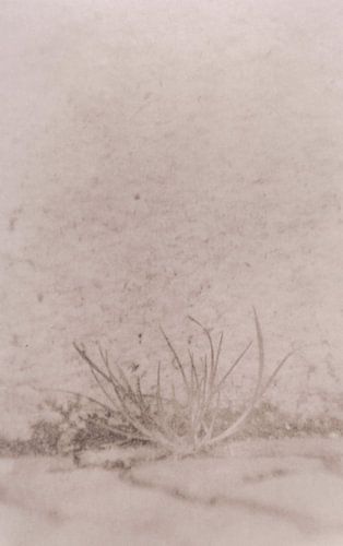 Hipsterhausen _ 6