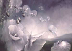 Fleeting - white poppy meadow