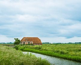 Harssensbosch by J.P. Zwart