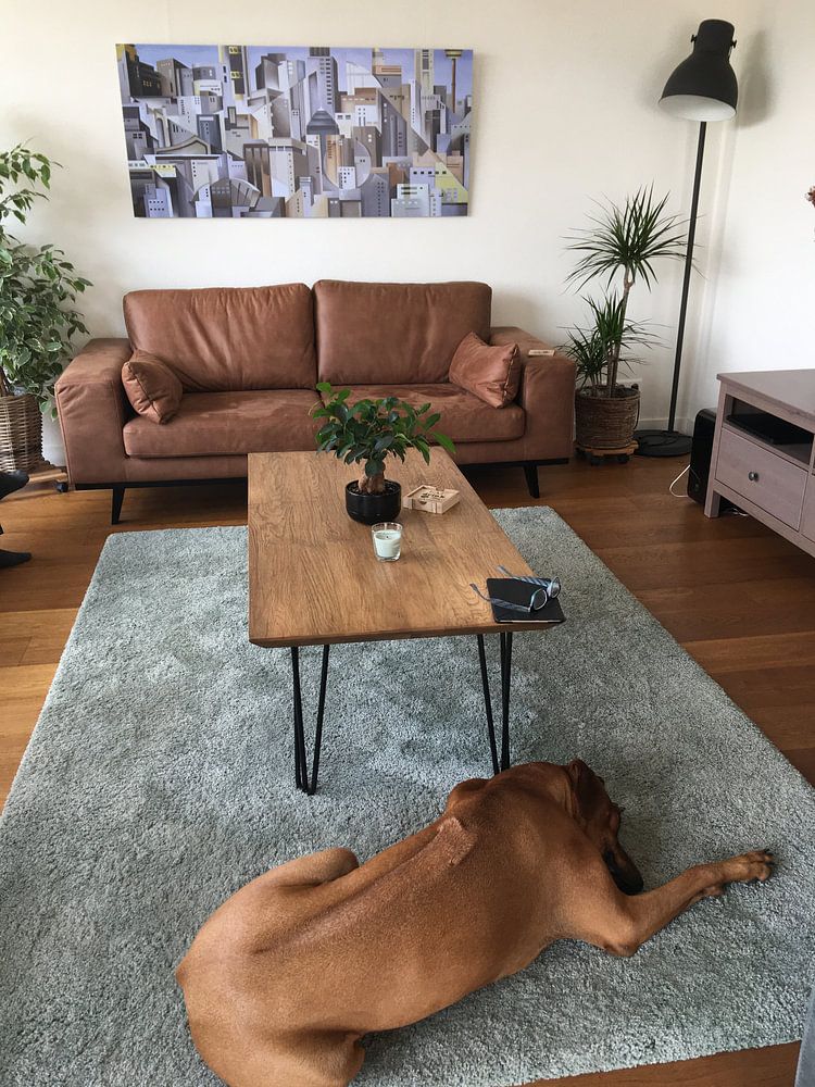 Composition Looking East  by Catherine Abel 