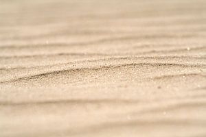 Dune sand by Ronald Wilfred Jansen