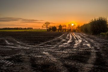 Le rêve des agriculteurs sur Tony Buijse