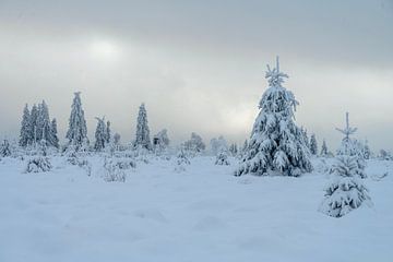 Sneeuwlandschap van Mijke Braam