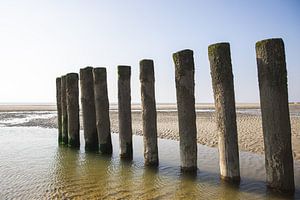 Zee landschap met houten palen op een rij van Simone Janssen