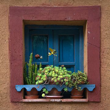 Belle fenêtre carrée décorée avec des plantes sur Harrie Muis