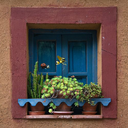 Beautiful and colorfully decorated square window with plants