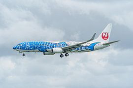 Japan Transocean Air Boeing 737 in walvishaai kleuren. van Jaap van den Berg
