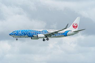 Japan Transocean Air Boeing 737 in walvishaai kleuren.