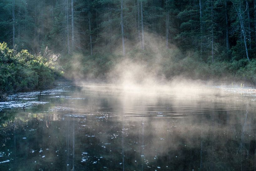 Kleurige waternevel in de ochtend by Dennis Weggelaar