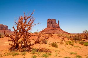 MONUMENT VALLEY West Mitten Butte & Landschaft 