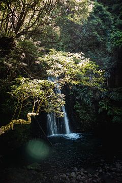 Sur la route de la cascade I | Un voyage à Sao Miguel, aux Açores sur Roos Maryne - Natuur fotografie