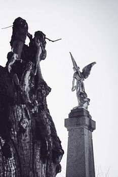 Angel for the Fallen