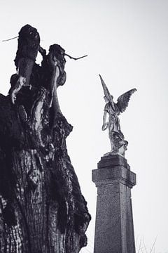 Angel for the Fallen