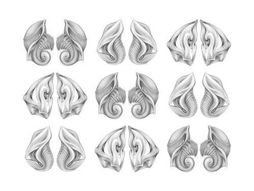 Discovery of imaginary life forms