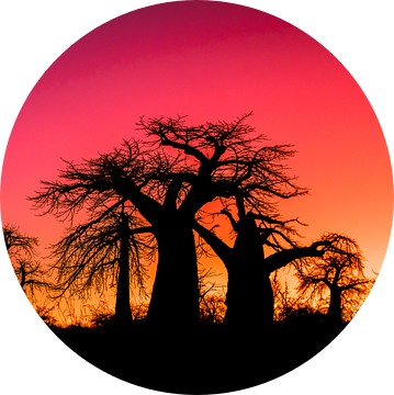 Sunset Afrika van Omega Fotografie