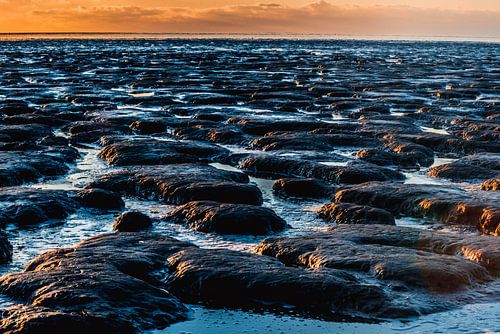 sunset on the mudflats 3