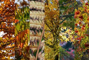 Herbstliche Farben