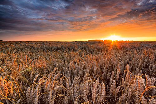 Het Hoge Land van Groningen in de zomer met een ondergaande zon