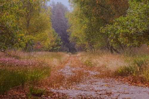 De natuur als een schilderij