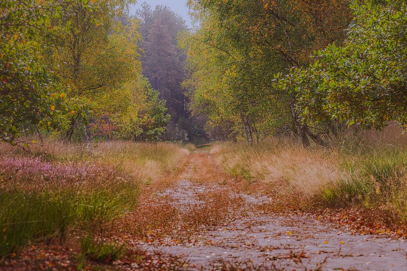 Nature as a painting by Robby's fotografie